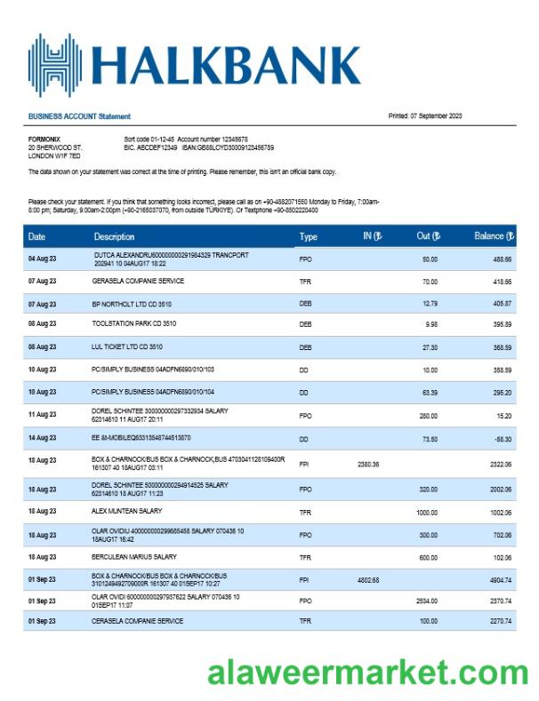 Halkbank business statement Word and PDF template